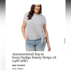 Asymmetrical Top in Ivory/Indigo Dainty Stripe 1X (14W-16W)